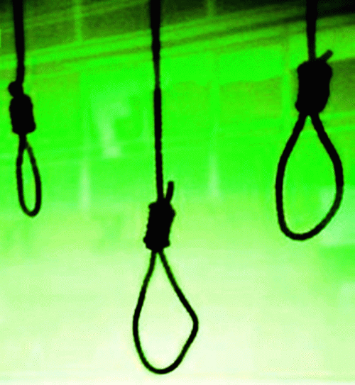 Noth : Sad and Bizarre